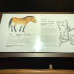 2019_OTRA_0461 (September 01, 2019)